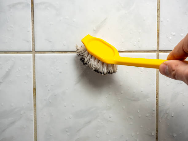 Best Mold Removal Near Me  in Ainaloa, HI