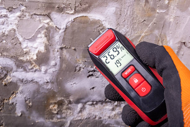 Best Affordable Mold Removal  in Ainaloa, HI