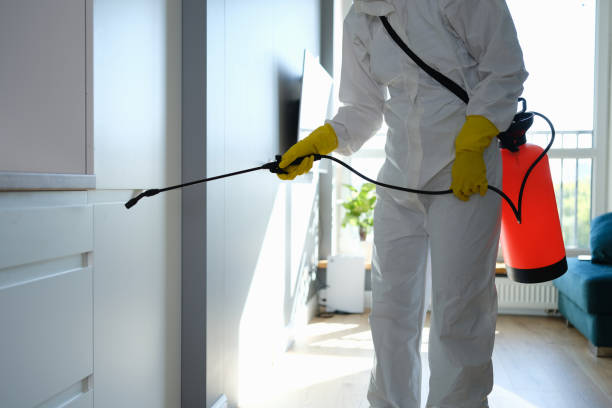 Professional Mold Removal in Ainaloa, HI