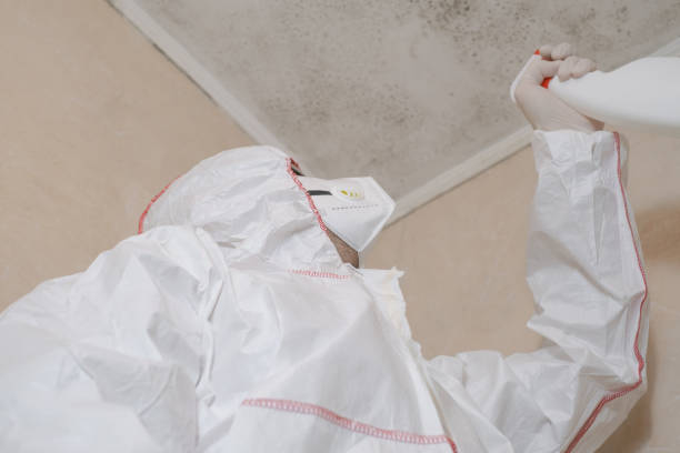 Best Crawl Space Mold Removal  in Ainaloa, HI