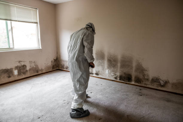 Best Crawl Space Mold Removal  in Ainaloa, HI